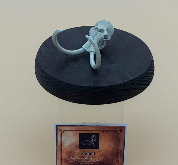 Craneo de Mamut 3D